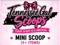 Mini Scoop